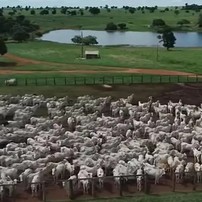Fazendas de Amado Batista — Foto: rep/ instagram e youtube