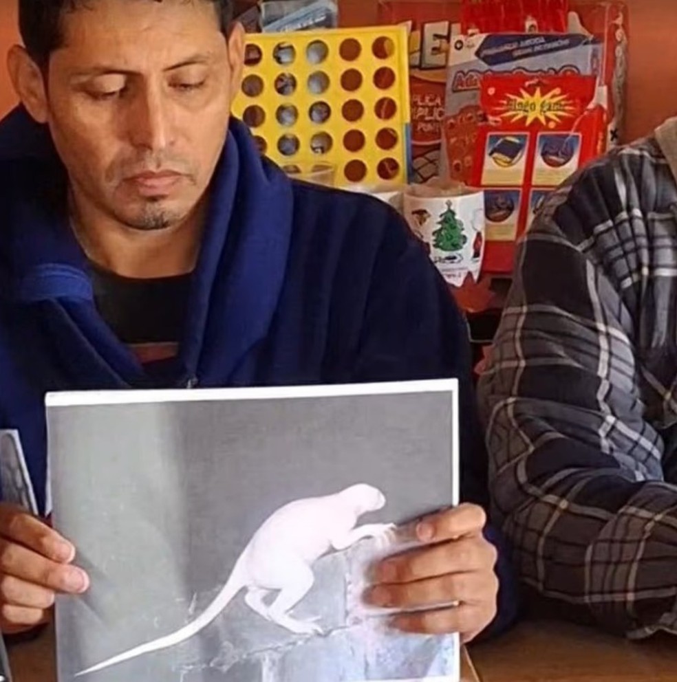 Criatura bizarra e misteriosa &eacute; avistada no M&eacute;xico e faz moradores fugirem de casa com medo &mdash; Foto: Reprodu&ccedil;&atilde;o/X