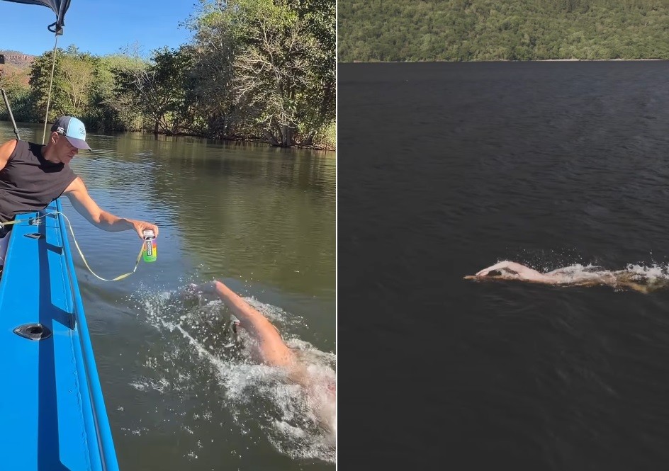 Maratonista aquático nada por 11 horas em rio infestado de crocodilos