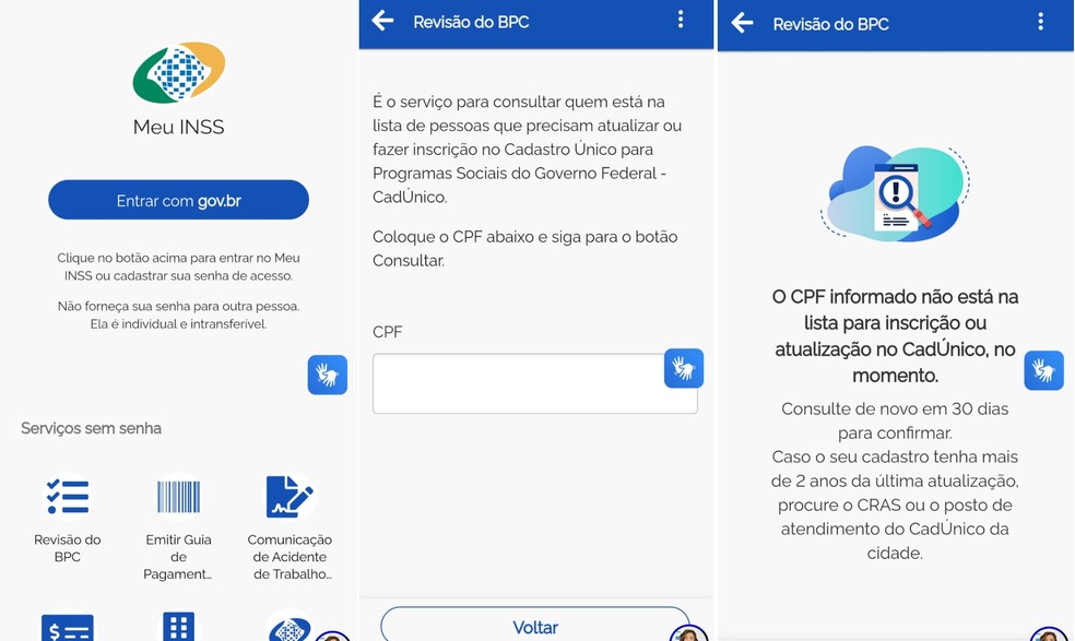 Não é preciso fazer login no Meu INSS. Basta ir em revisão do BPC e digitar o CPF — Foto: Reprodução