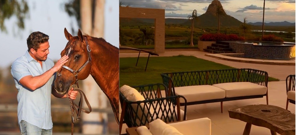 Safadão tem haras no interior do Ceará e investe na criação de cavalos de raça — Foto: Reprodução/Instagram