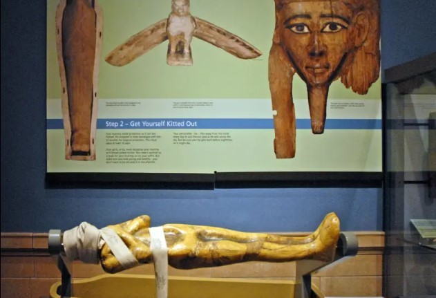 Museu decide retirar múmias de exposição por não ter 'consentimento' dos mortos