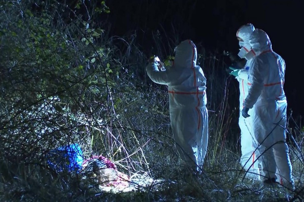 Equipe forense chega a local onde 'corpo' foi achado em floresta nos arredores de Rostock — Foto: Reprodução/Facebook