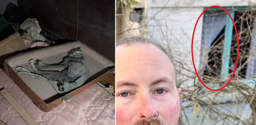 Explorador urbano encontra gato mumificado e 'fantasma' em casa abandonada