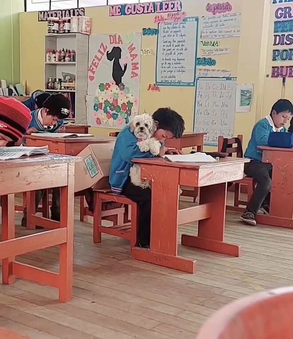 Lopez segurando Pequen&atilde;, sua cachorrinha, no colo &mdash; Foto: Arquivo Pessoal/Ali Bonilla Esteban