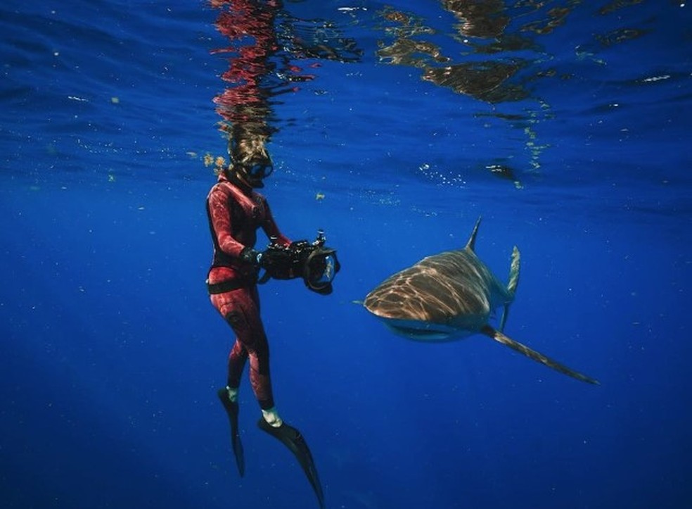 Rosie Moore, a 'cientista mais sexy do mundo', em mergulho com tubarão — Foto: Reprodução/Instagram