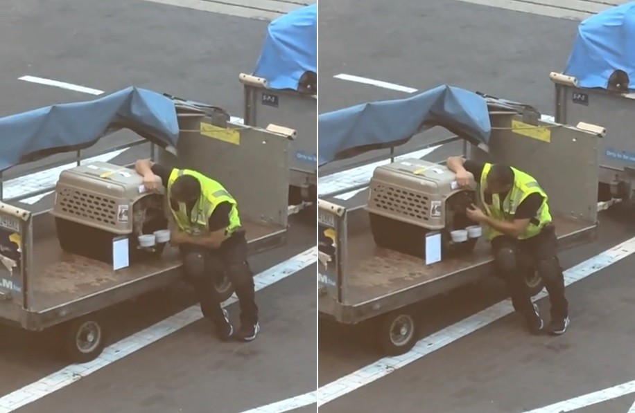 Funcionário de aeroporto viraliza ao acalmar cão que viajava longe da tutora