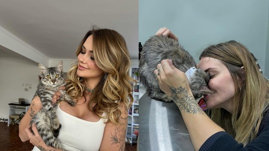 Ex-BBB Marcela McGowan abre álbum de fotos de gata que adotou no Rio Grande do Sul: 'Dona do meu coração'