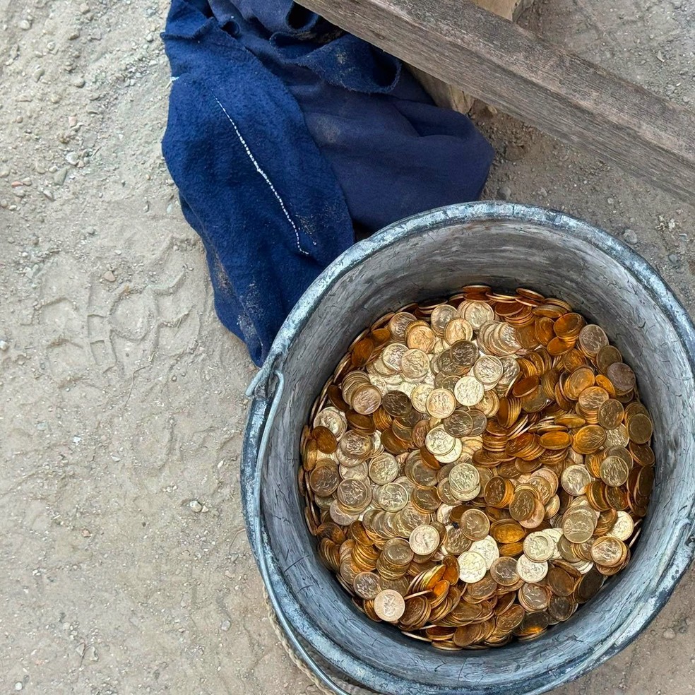 Balde com moedas de ouro encontradas em parede &mdash; Foto: Lokale Politie Dendermonde