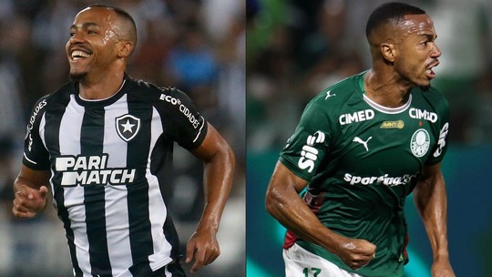 Botafogo recebe o Palmeiras pelo Brasileirão em reencontro com Barboza e Marlon Freitas