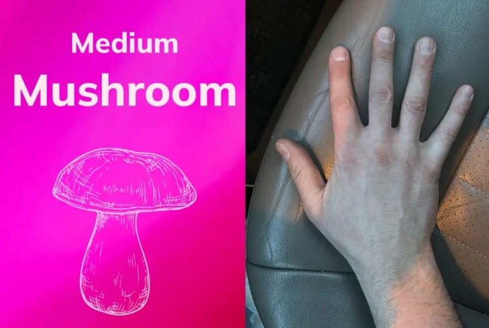 Mulher cria aplicativo que permite ter ideia de tamanho e formato do p&ecirc;nis de crushes &mdash; Foto: Reprodu&ccedil;&atilde;o