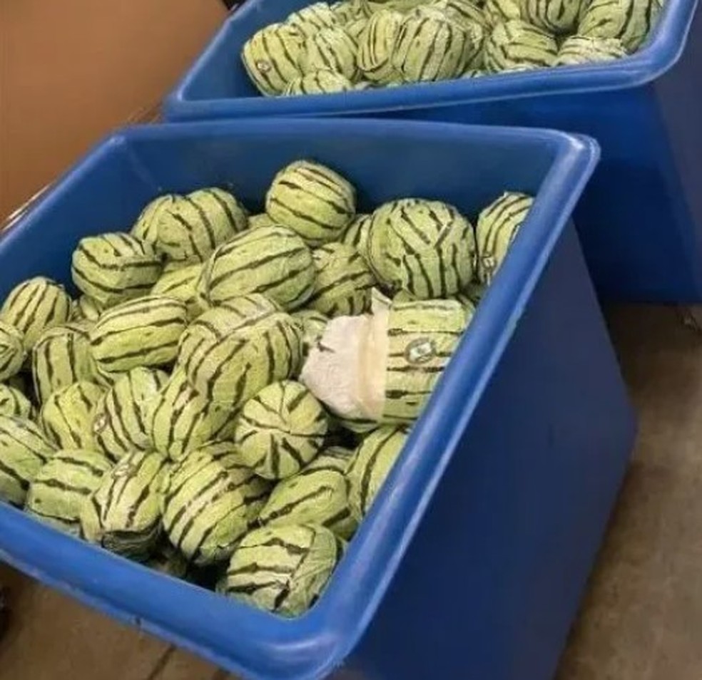 Melancias falsas escondiam carga de metanfetamina enviada do M&eacute;xico &mdash; Foto: Reprodu&ccedil;&atilde;o