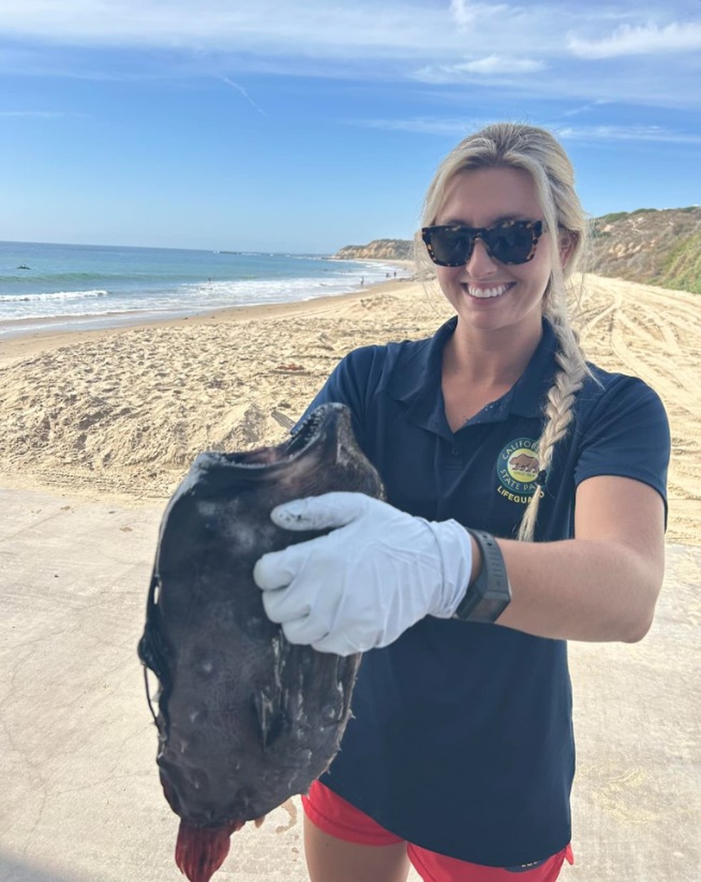 Peixe-futebol, que vive nas profundezas do Pac&iacute;fico, &eacute; encontrado na areia de praia da Calif&oacute;rnia &mdash; Foto: Reprodu&ccedil;&atilde;o/Facebook