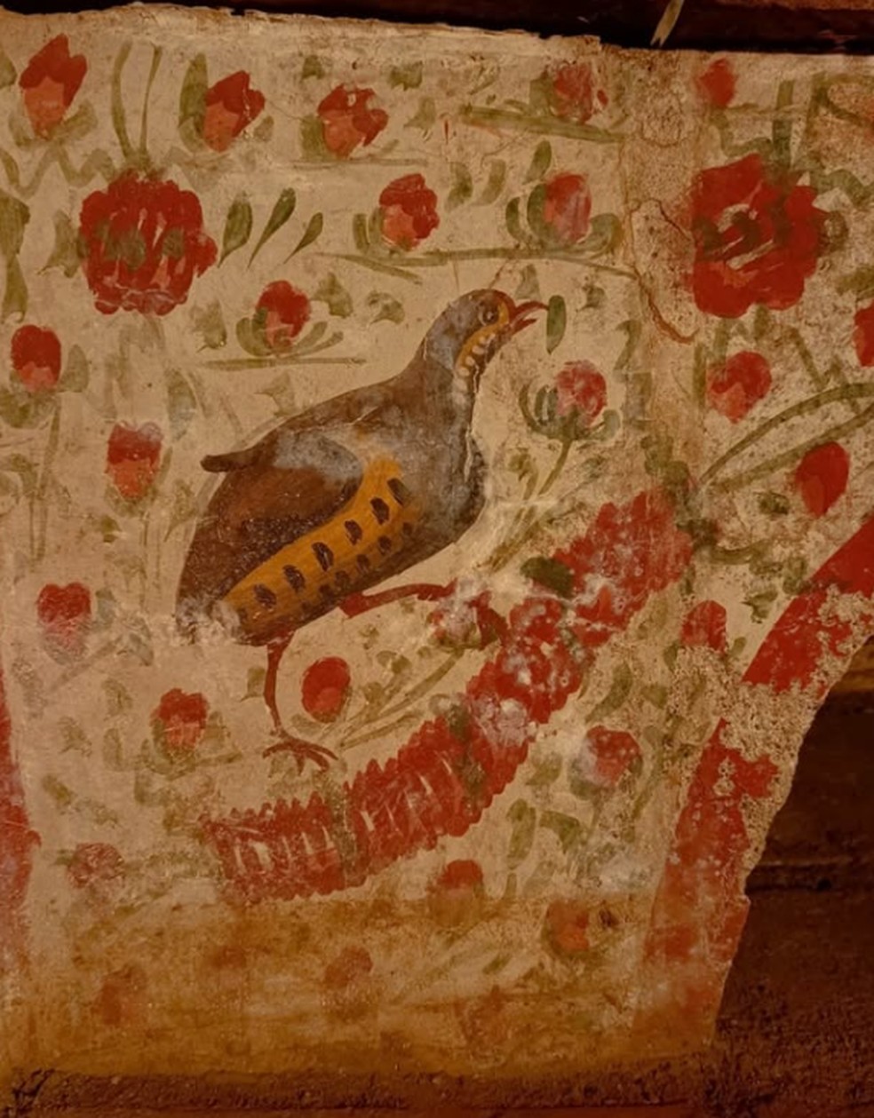 Afresco inclui pinturas de animais e flores — Foto: Reprodução/Instagram/@arkeolojihaber