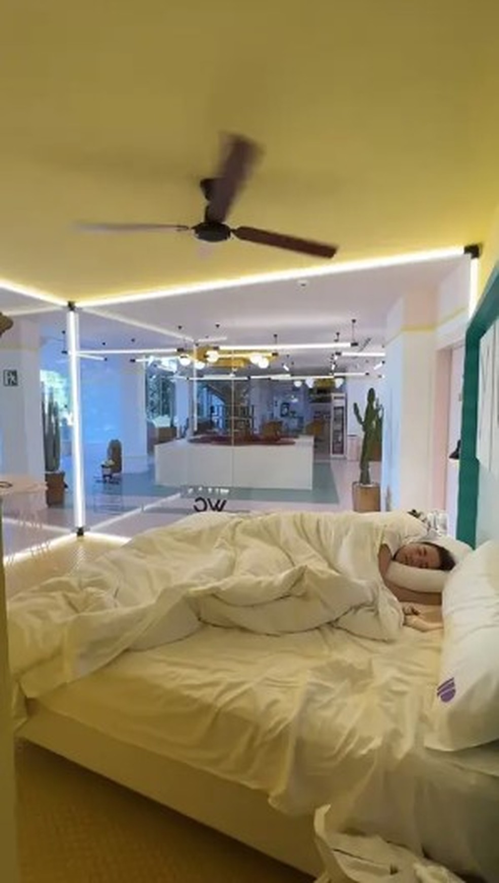 Hotel em Ibiza oferece suíte grátis, mas todo mundo vê o que acontece no quarto — Foto: Reprodução/TikTok