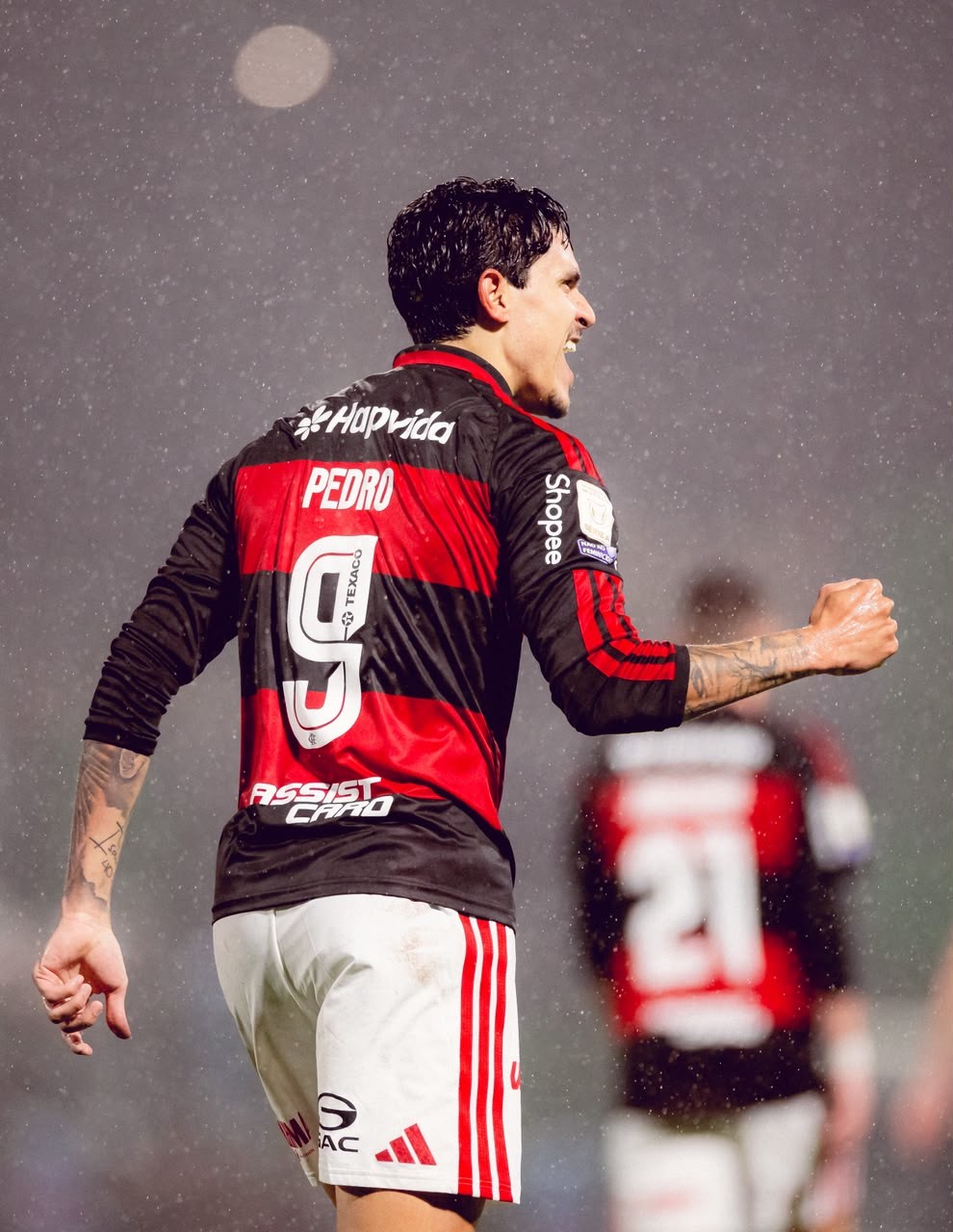 Massacre em Chapecó: Flamengo atropela a Chapecoense por 4 a 0 e reafirma poder ofensivo