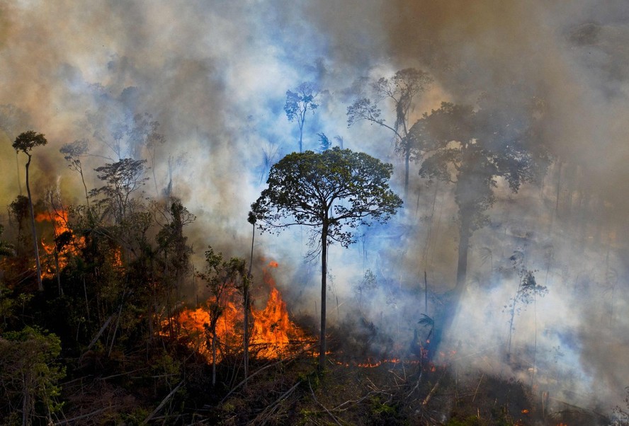 Queimada no Pará: El Niño deverá contribuir para mais incêndios em áreas de floresta já degradada na Amazônia