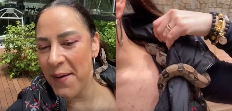 Silvia Abravanel relembra ataque que sofreu de cobra que cria — Foto: Reprodução/Youtube