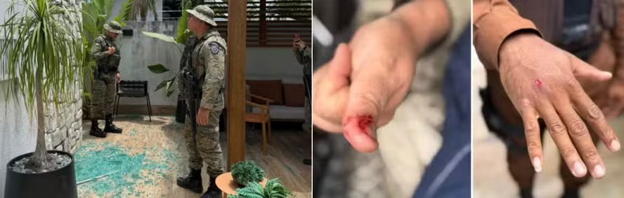 Macaco-prego invade condomínio, bebe garrafa de álcool etílico, entra em quarto de bebê e fere cinco pessoas na Bahia