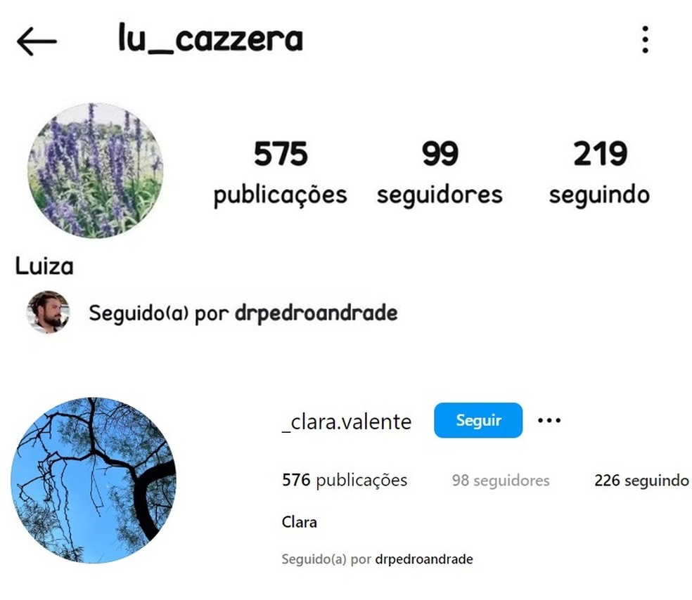 Sandy trocou o nome de usuário de seu perfil secreto no Instagram — Foto: Instagram