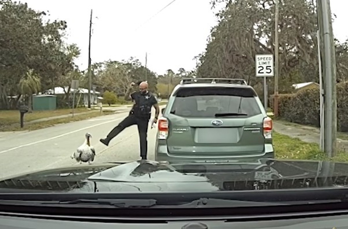 ‘Não acredito que isso esteja acontecendo’