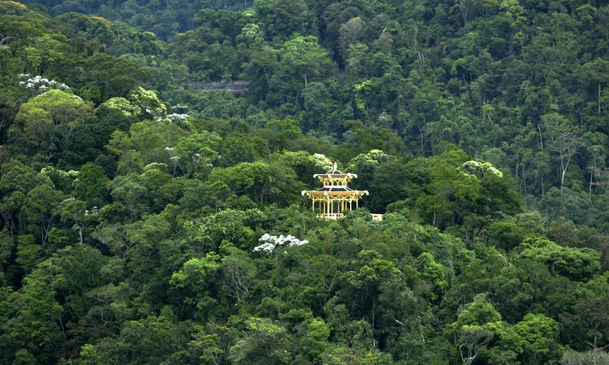 Floresta da Tijuca, um dos remanescentes de Mata Atlântica