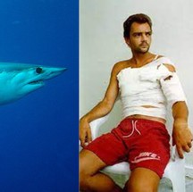 Martin Richardson foi salvo por golfinhos de ataque de tubarão — Foto: Shark Research Institute