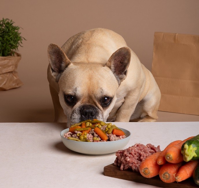 Alimentação do pet: veja a diferença entre comida natural e ração