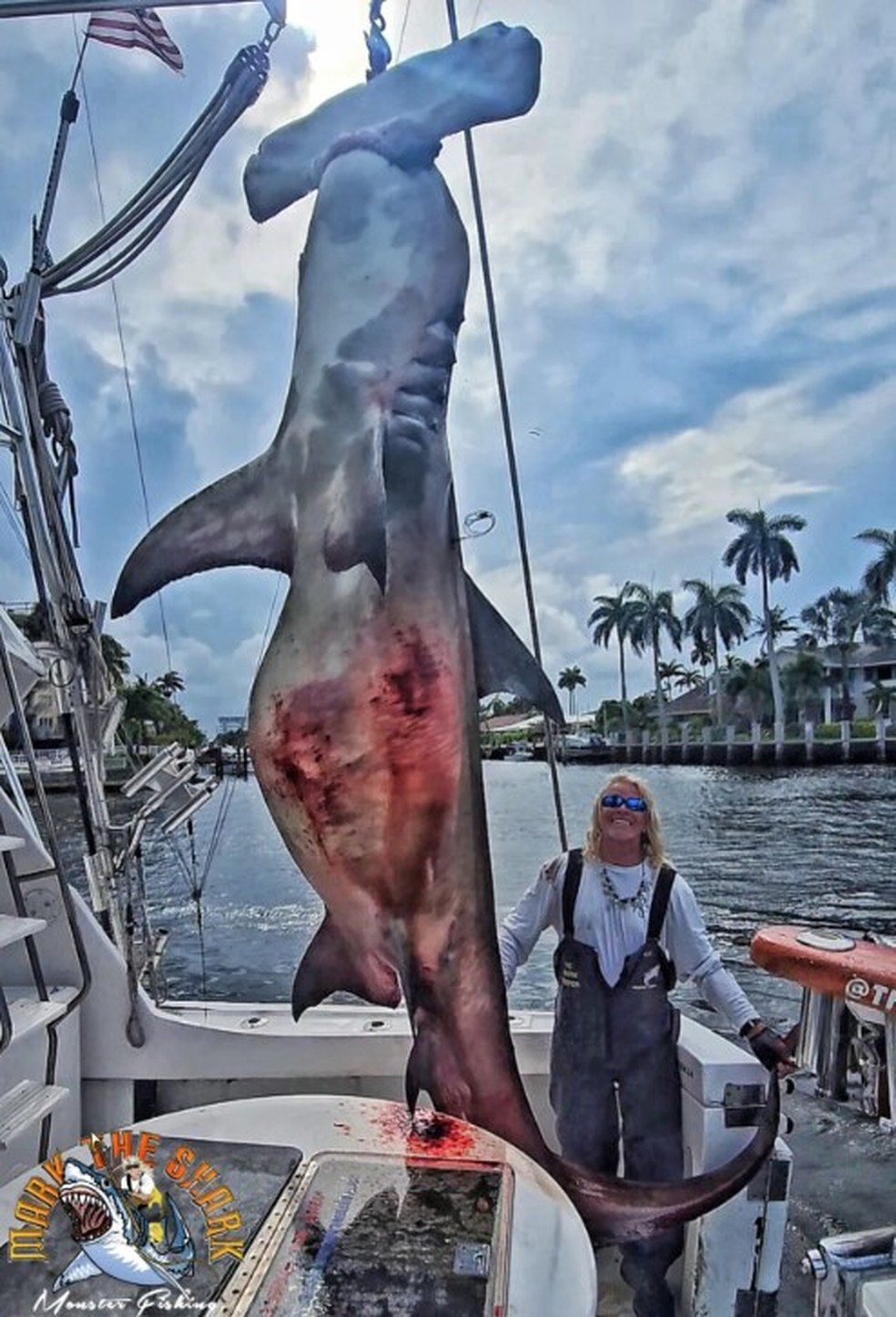 Mark Quartiano com um tubarão-martelo fisgado na Flórida — Foto: Reprodução/Mark the Shark