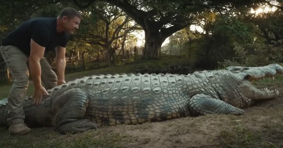 Henry, o crocodilo mais velho do mundo, com 123 anos — Foto: Reprodução