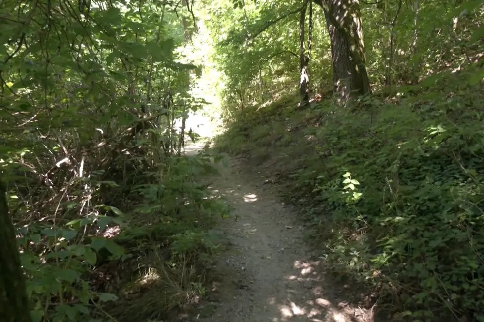 Homem foi avistado em destino popular entre turistas — Foto: Reprodução / Noviny