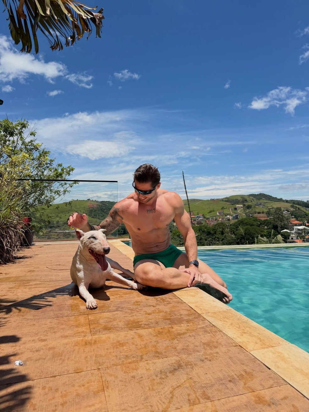 Chamado de feio no 'BBB 26', cachorro de Jonas tem 20 mil
