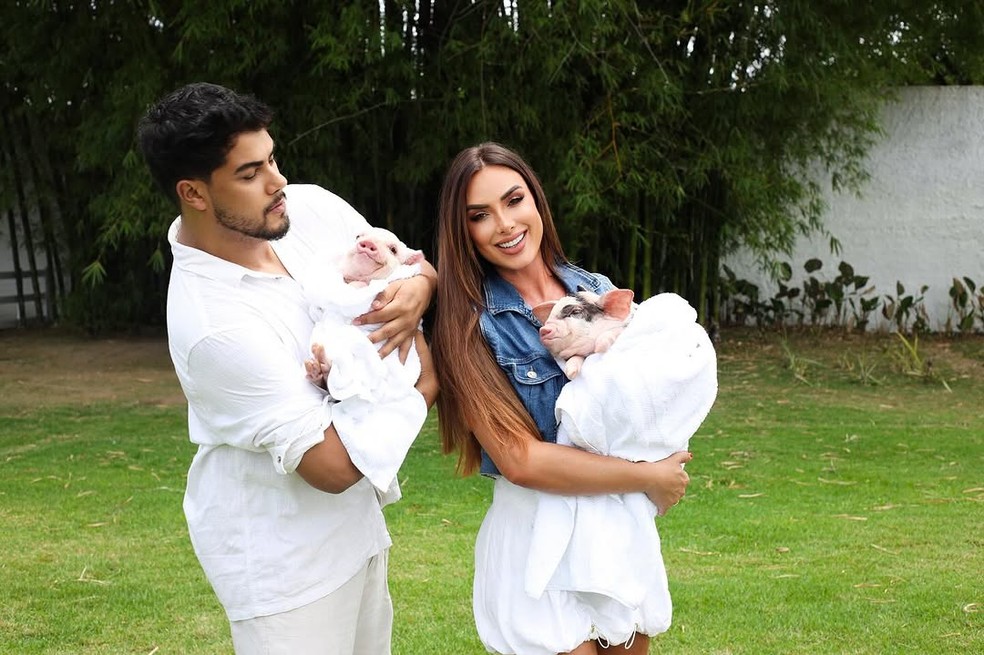 Os porquinhos que chegaram no sítio de Nicole Bahls em outubro ganharam o nome de Rainha Matos e Hugo Gloss. — Foto: reprodução