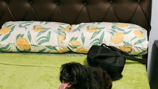 O ator levou seu cachorrinho, do qual não queria se separar — Foto: Michel Oliveira