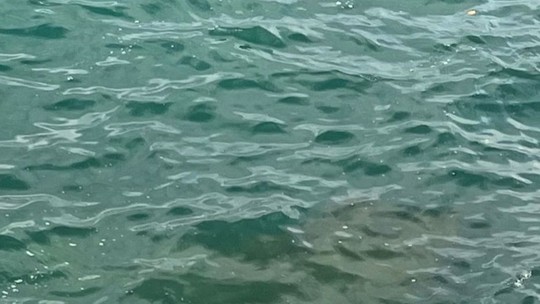 Herdeiros de ícones da TV e da música celebram Réveillon juntos no litoral paulista