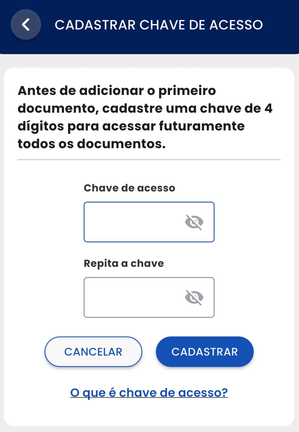 O app CNH do Brasil — Foto: Reprodução