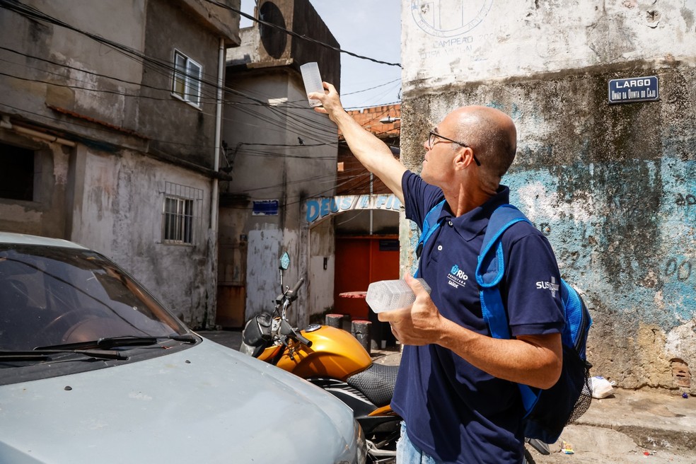 Três bairros do Rio têm ações com o método Wolbachia, em que mosquitos ajudam no combate à dengue — Foto: Edu Kapps/SMS/Divulgação