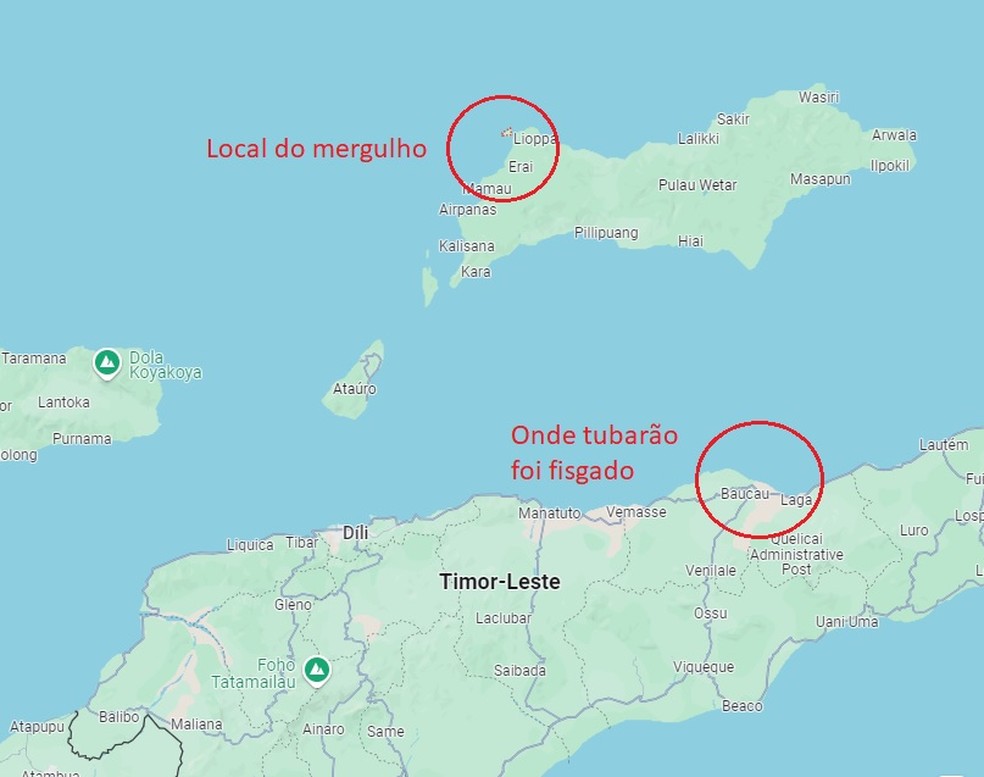 Mapa mostra onde Colleen Monfore sumiu (Indonésia) e onde tubarão foi fisgado com restos mortais de mulher no estômago (Timor Leste) — Foto: Reprodução/Google Maps