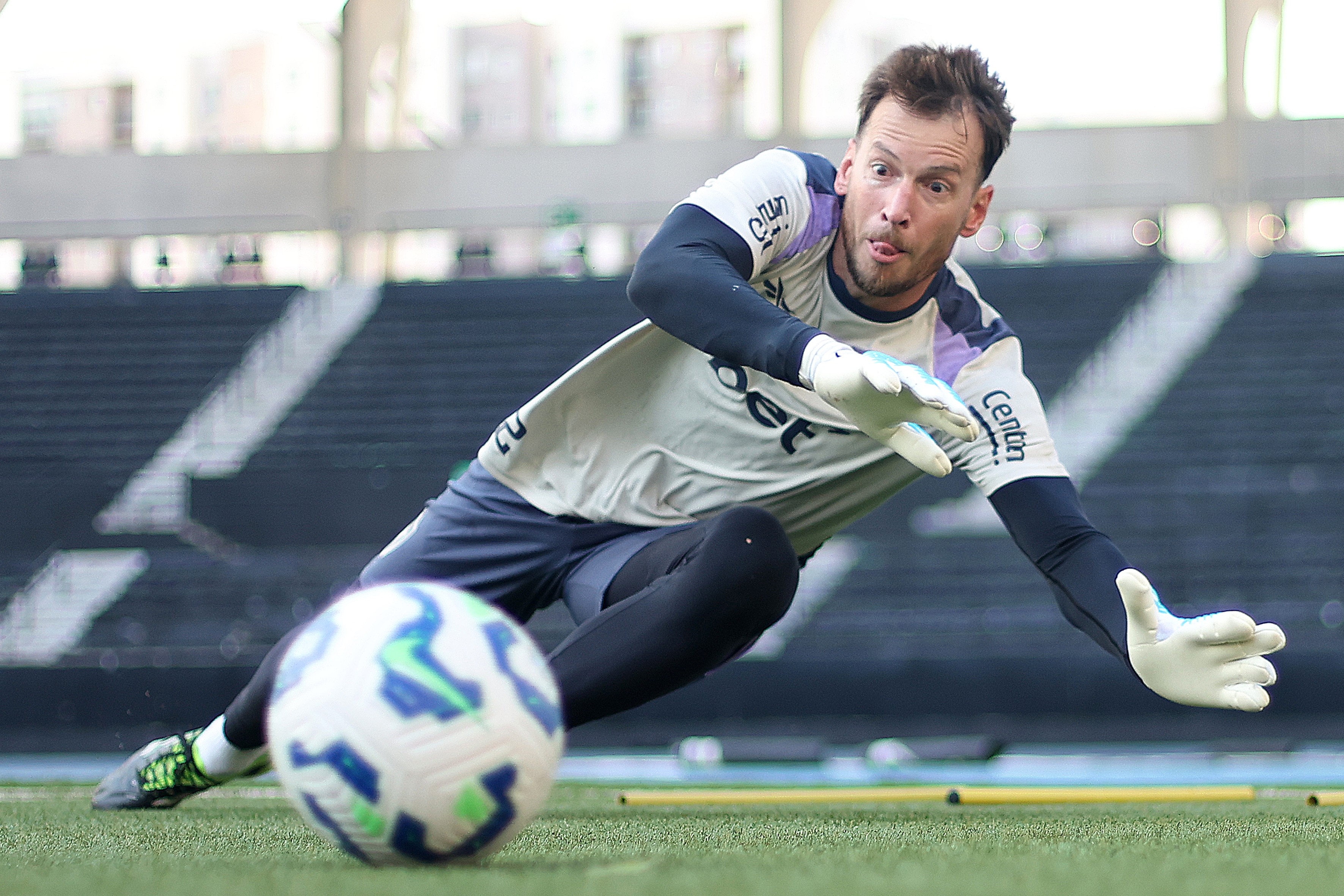 Botafogo rescinde contrato do goleiro Neto