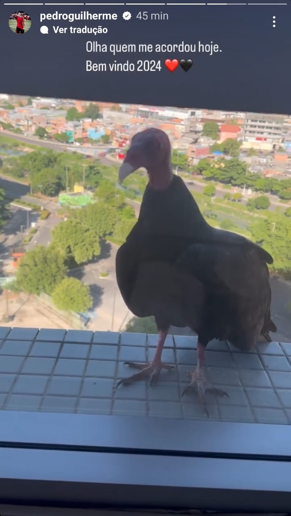Pedro posta foto com urubu — Foto: Instagram