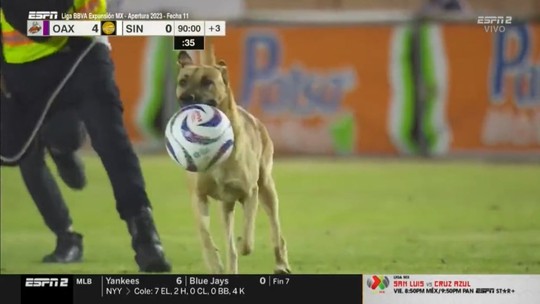 Cachorro invade o campo, rouba a bola e faz 'salseiro' no Campeonato Mexicano; vídeo