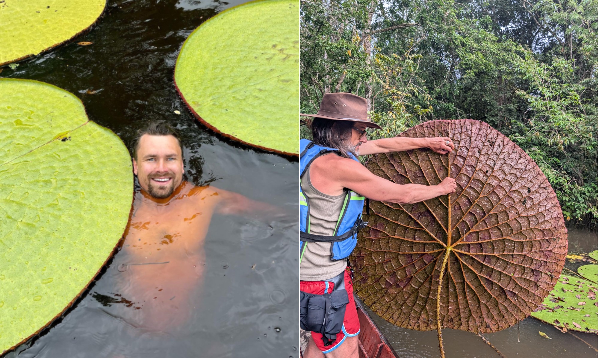 Como uma selfie no Instagram levou um pesquisador a descobrir nova espécie de planta