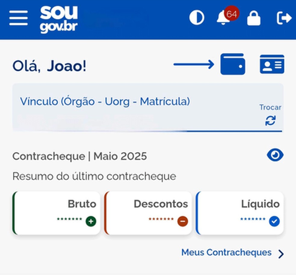 Funcionalidade está disponível na página inicial do aplicativo SouGov.Br — Foto: Reprodução