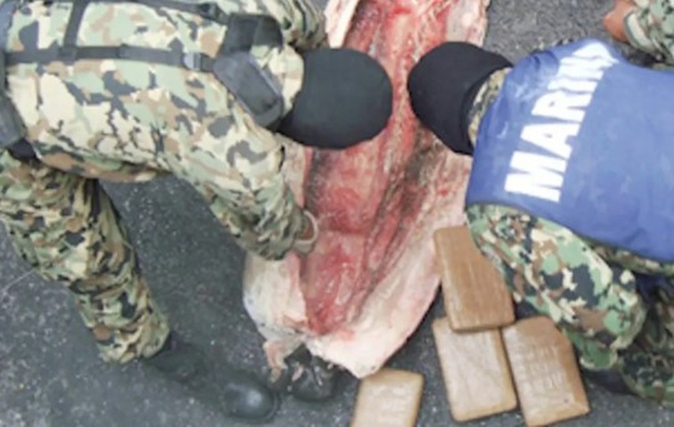 Tubar&otilde;es congelados escondiam carga de coca&iacute;na &mdash; Foto: Reprodu&ccedil;&atilde;o/Marinha do M&eacute;xico