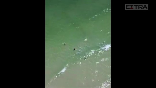 Tubarão surpreende pai e filho ao nadar próximo deles em praia dos EUA