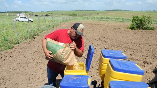 Pequenos agricultores de Quissamã recebem auxílio da prefeitura para plantio de milho