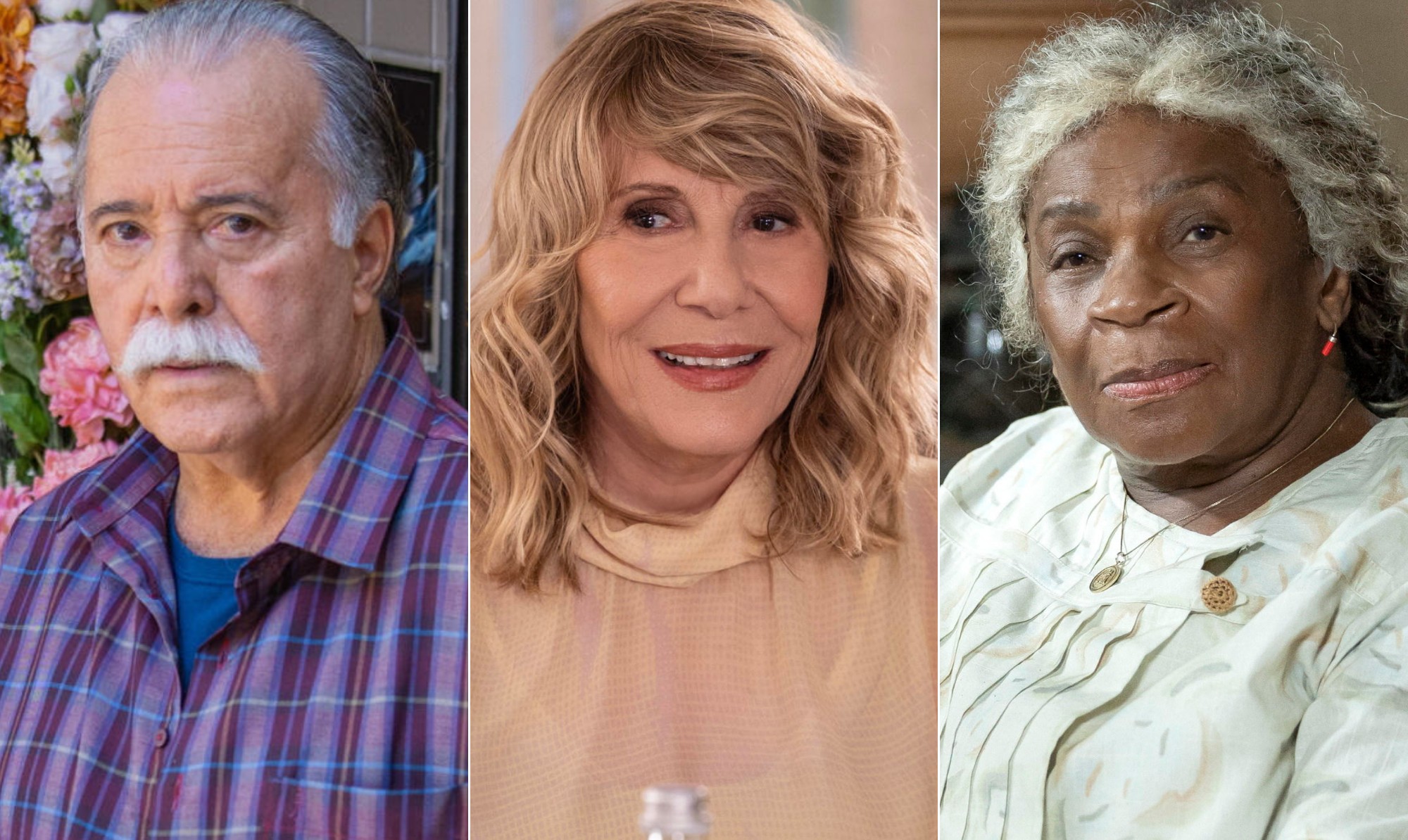 No Dia do Idoso, veja os atores 70+ que seguem em plena atividade nas novelas; lista traz Tony Ramos, Renata Sorrah e mais
