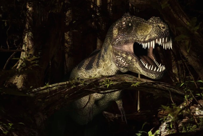 Por que o Tiranossauro Rex tinha braços curtos? A ciência decifrou
