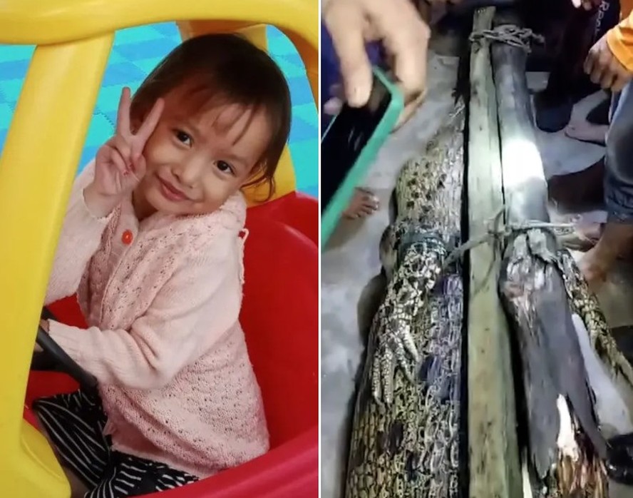 Menina de 5 anos morre após ser atacada por crocodilo ao se banhar em lago na Indonésia