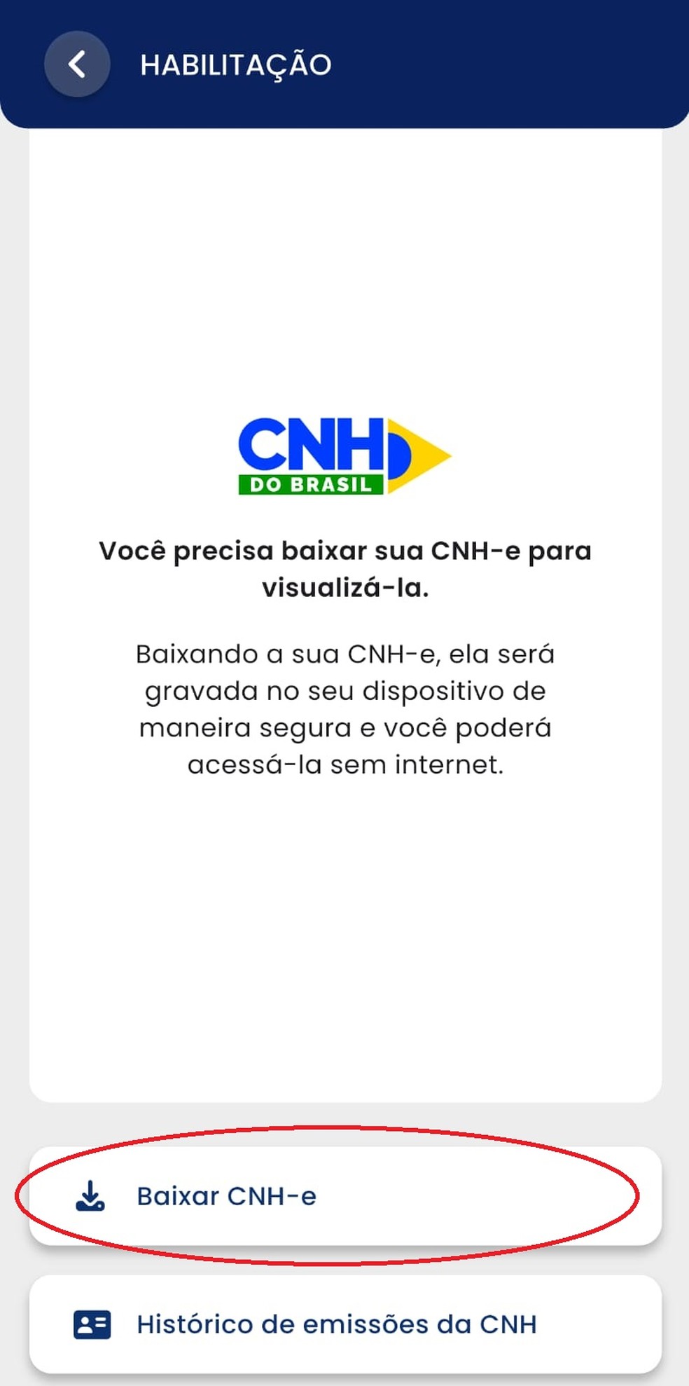 O app CNH do Brasil — Foto: Reprodução